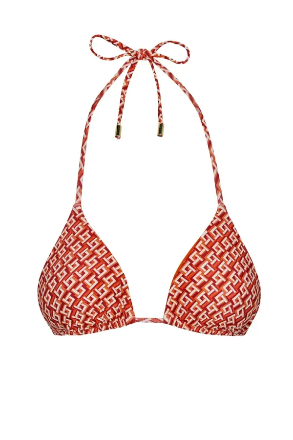 Palma Top Lattice Geo
