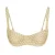 Ivory Geo