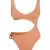 Desert Rose