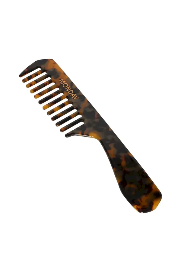 Staniel Cay Comb Tortoise